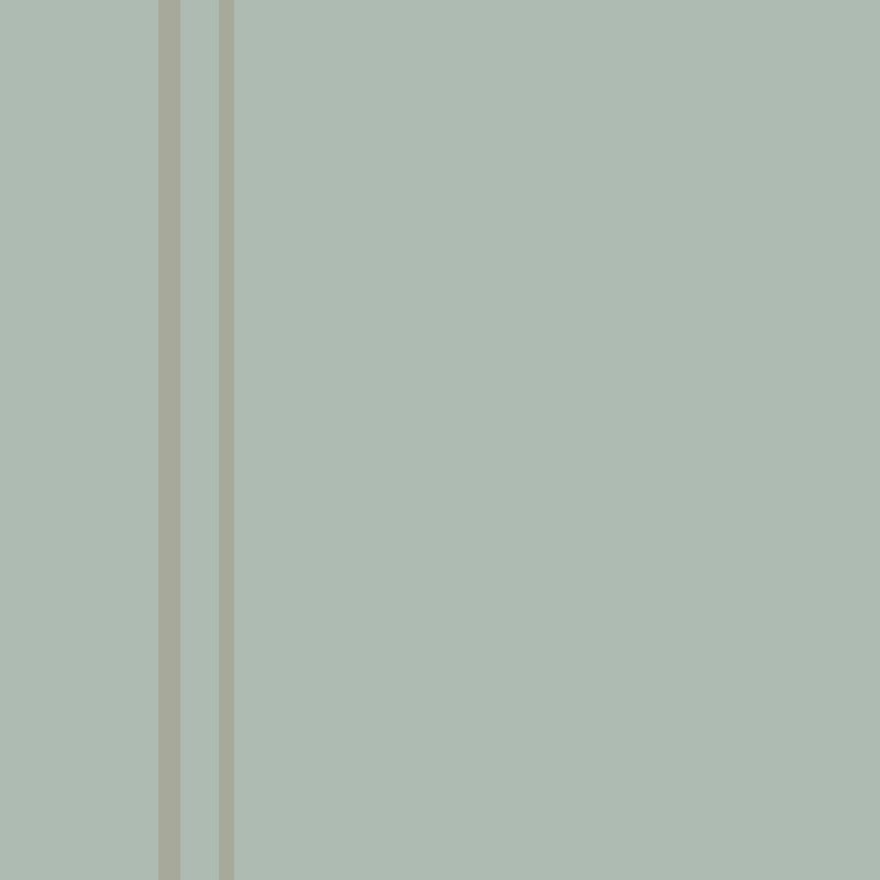 2025 Trend Color: Quietude w/Slate H.L.